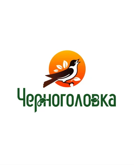 4c1fa78a-73a0-4b5e-9738-186739f9cae2-i-15.webp
